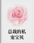 总裁的私宠宝贝