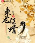 乘龙佳婿