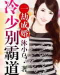 一劫成婚，冷少别霸道