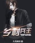 兵王在乡村