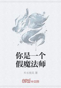 你是一个假魔法师