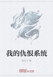 我的仇恨系统