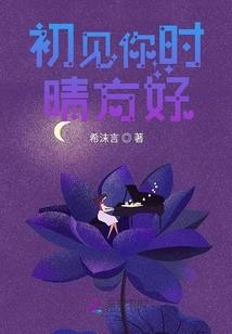 初见你时晴方好