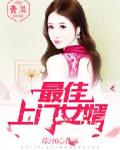 最佳上门女婿
