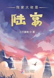 我家大佬是陆宴