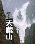 天藏山