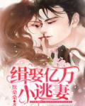 缉娶亿万小逃妻