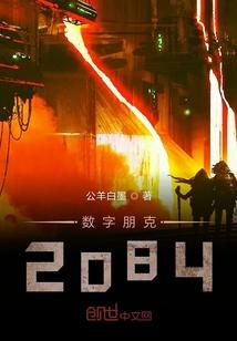 数字朋克2084