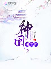 神凰魂术师