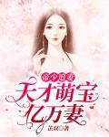 帝少追妻：天才萌宝亿万妻