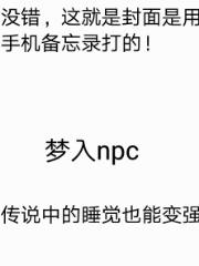 梦入npc