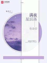 你走后，满夜星辰落