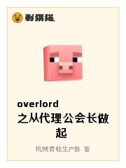 overlord之从代理公会长做起