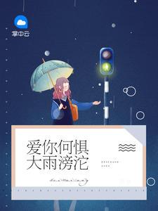 爱你何惧大雨滂沱叶佳禾纪一笹