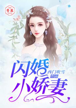 闪婚小娇妻