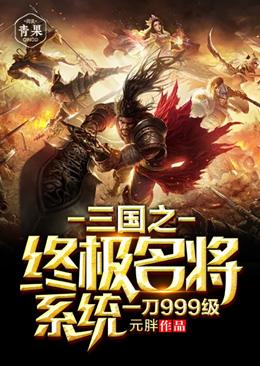 三国之终极名将系统一刀999级