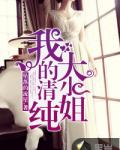 我的清纯大小姐