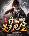 我的丹田竟然是充电宝