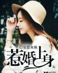 惹婚上身