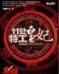 11处特工皇妃