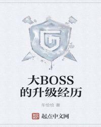 大BOSS的升级经历