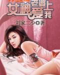 女神老婆爱上我