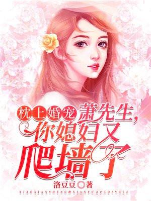 枕上婚宠：萧先生，你媳妇又爬墙了