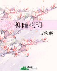 柳暗花明