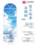 总裁的替身前妻