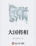 大国将相