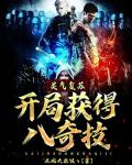 灵气复苏：开局获得八奇技