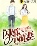厉少的闪婚小萌妻