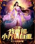 三国：我曹操，小乔请自重