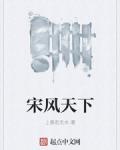 宋风天下