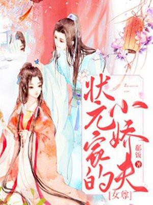 状元家的小娇夫[女尊]