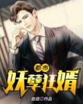 都市妖孽狂婿