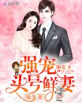 强宠头号鲜妻：陆少，滚！