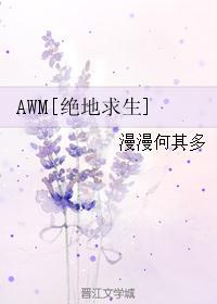 AWM[绝地求生]