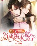 怀了龙凤胎后，总裁跪求复合