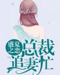 盛夏之恋，总裁追妻忙