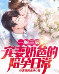 一胎三宝，宠妻奶爸的陪孕日常