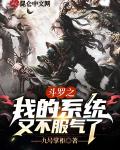 斗罗之我的系统又不服气了