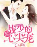暖婚蜜宠