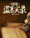 民国盗墓实录