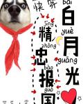 白月光精忠报国[快穿]