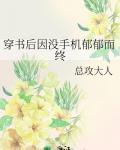 穿书后因没手机郁郁而终