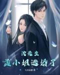 沈先生，孟小姐逃婚了