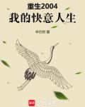 重生2004，我的快意人生