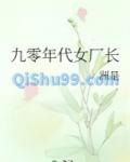 九零年代女厂长