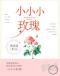 小小小玫瑰